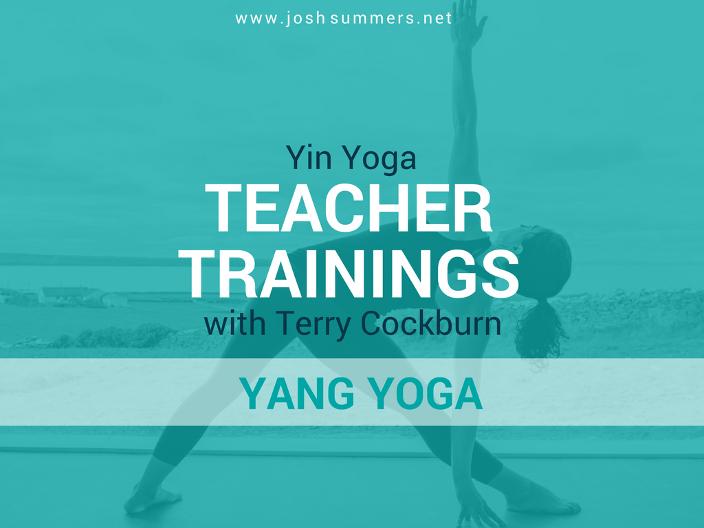yin yoga, yang yoga, sun salutations, teacher trainings