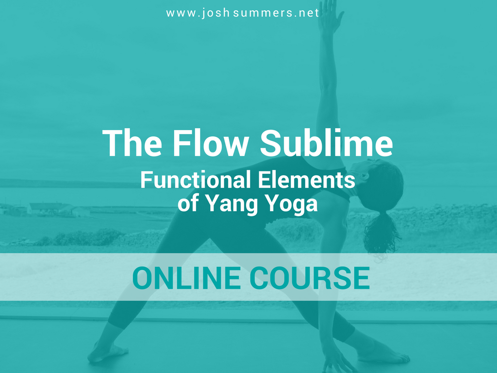 An online course offered by the Summers School of Yin Yoga