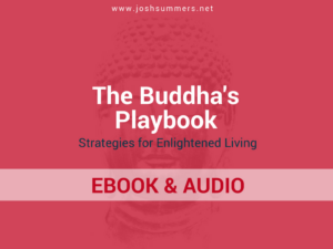 The Buddha's Playbook by Josh Summers