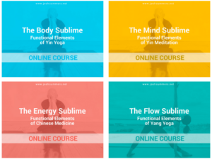 Learn the Functional Elements of Yin Yoga, Yin Meditation, Chinese Medicine, and Yang Yoga with Josh Summers and Terry Cockburn