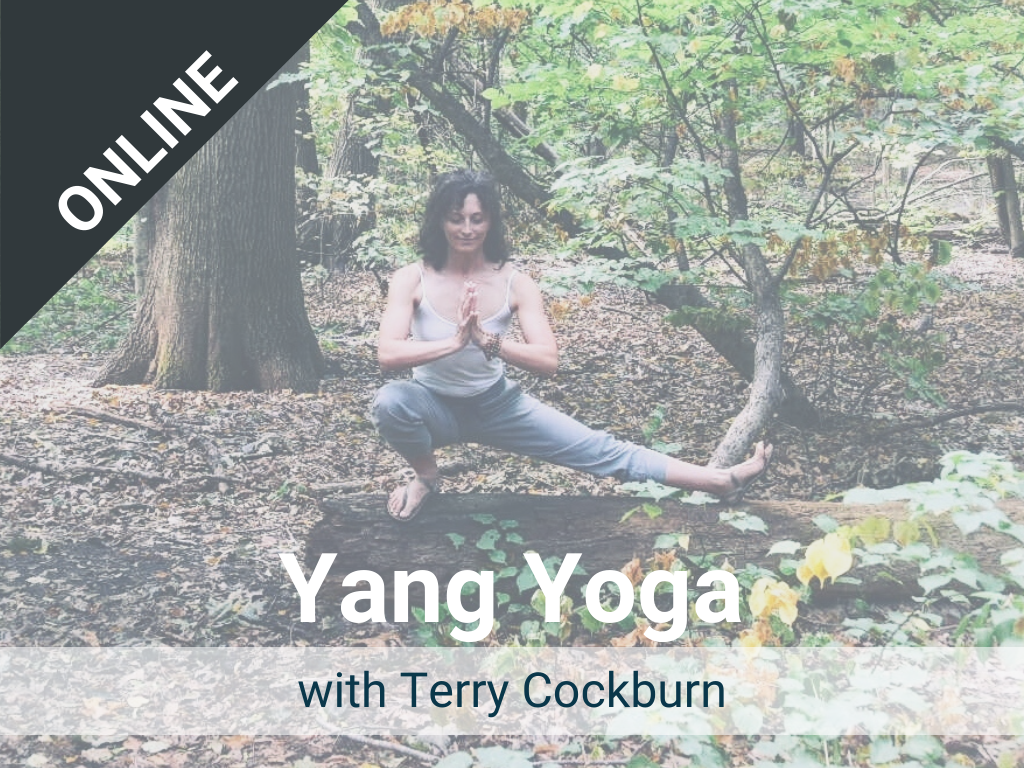 Yang Yoga with Terry: Offered each Thursday – a live, online class via Zoom. Recorded version is available in our Sangha Library.