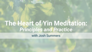 An in-depth introduction to the core principles of Yin Meditation, an approach to meditation that Josh developed to pair with Yin Yoga.