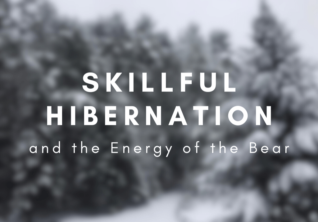 skillful hibernation