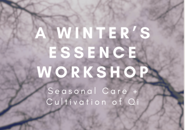winters essence workshop